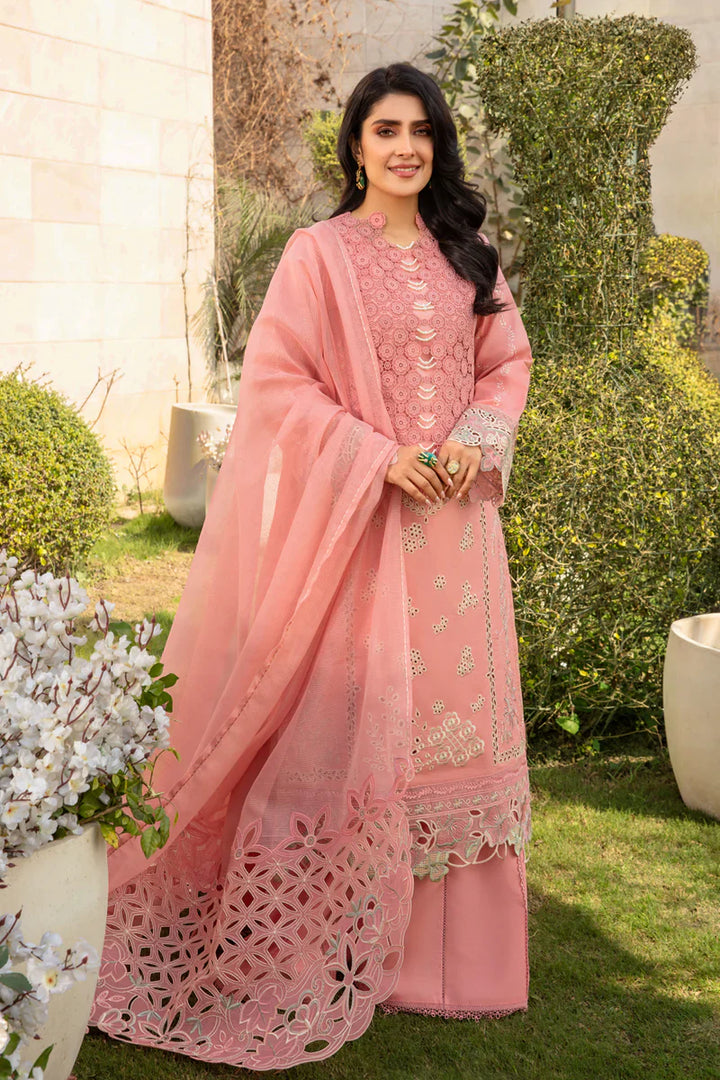 Rang Rasiya Embroidered Lawn Suits Unstitched 3 Piece RR24PE D-07 Parisa - Summer Eid Collection