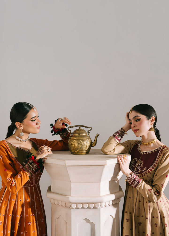 Jeevan by Fiona Embroidered Suits Unstitched 3 Piece FA25JK Nudeh - Winter Collection