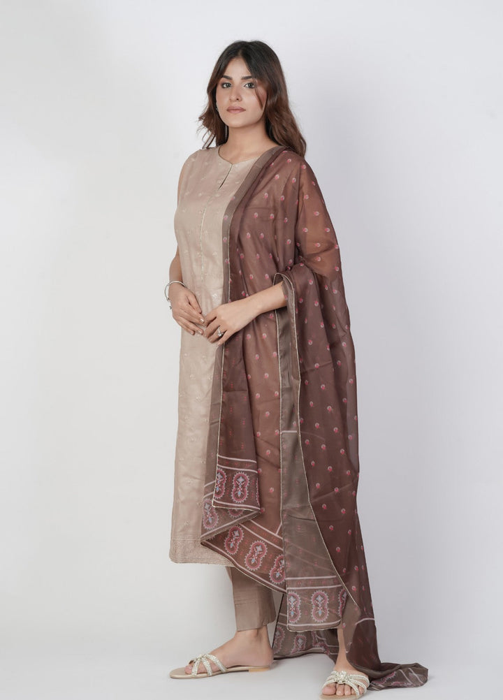 Vibgyor Fashion Embroidered Cotton Lawn Suits Unstitched 3 Piece Skin Brown D11-S-25