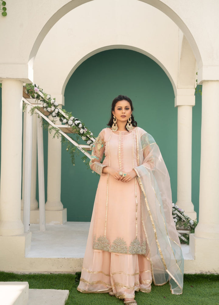 Lotus by Hem Pret Embroidered Organza 4 Piece Suit Rose Pink