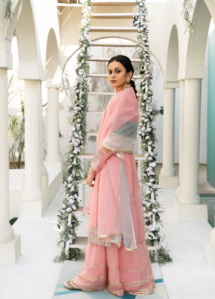 Lotus by Hem Pret Embroidered Organza 4 Piece Suit Light Pink