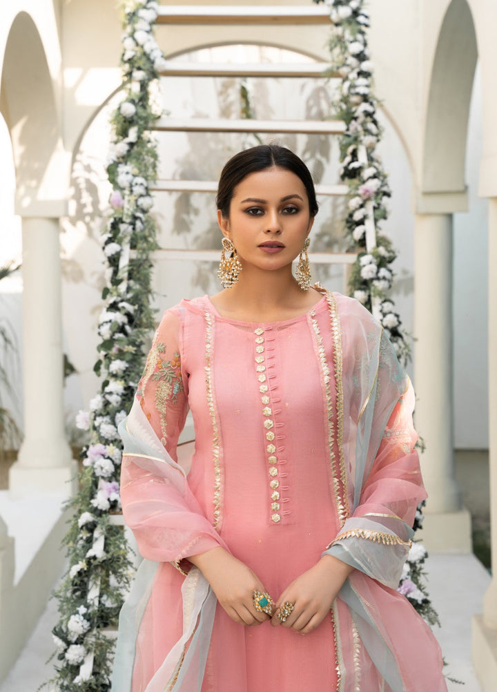 Lotus by Hem Pret Embroidered Organza 4 Piece Suit Light Pink