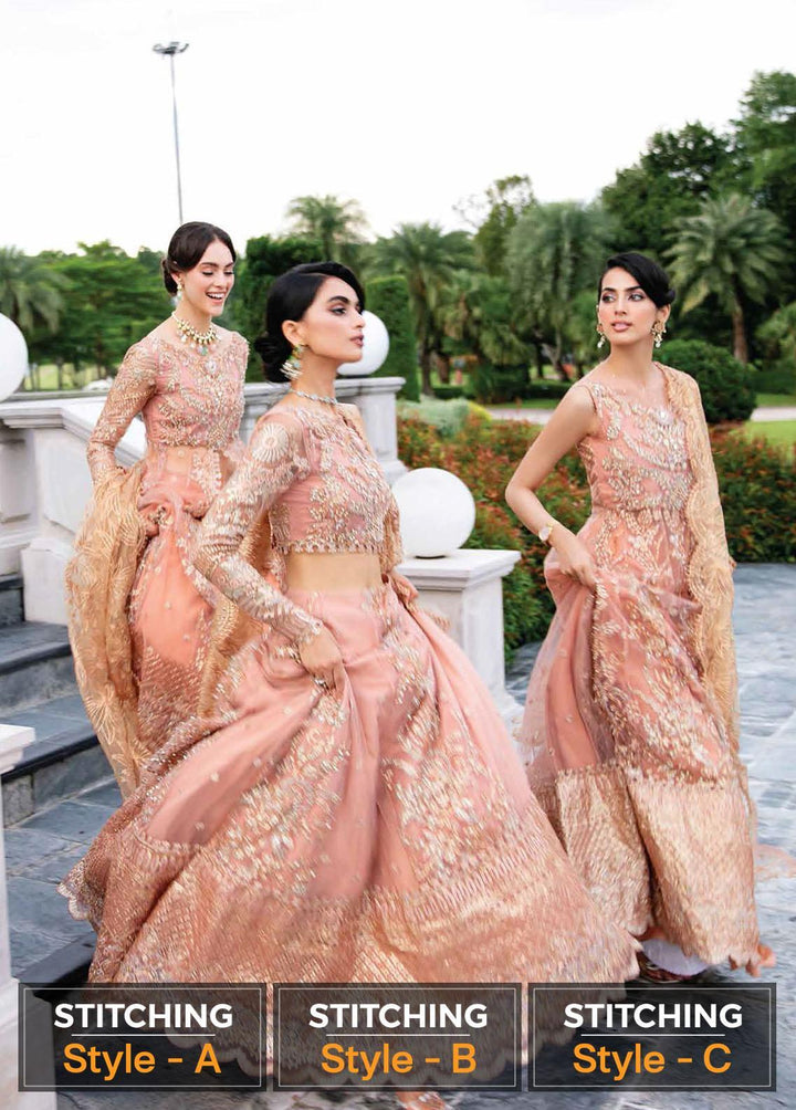 Serendipity by Mushq Embroidered Net Suits Unstitched 4 Piece MQ22S TDL22-05 Nicole - Luxury Wedding Collection