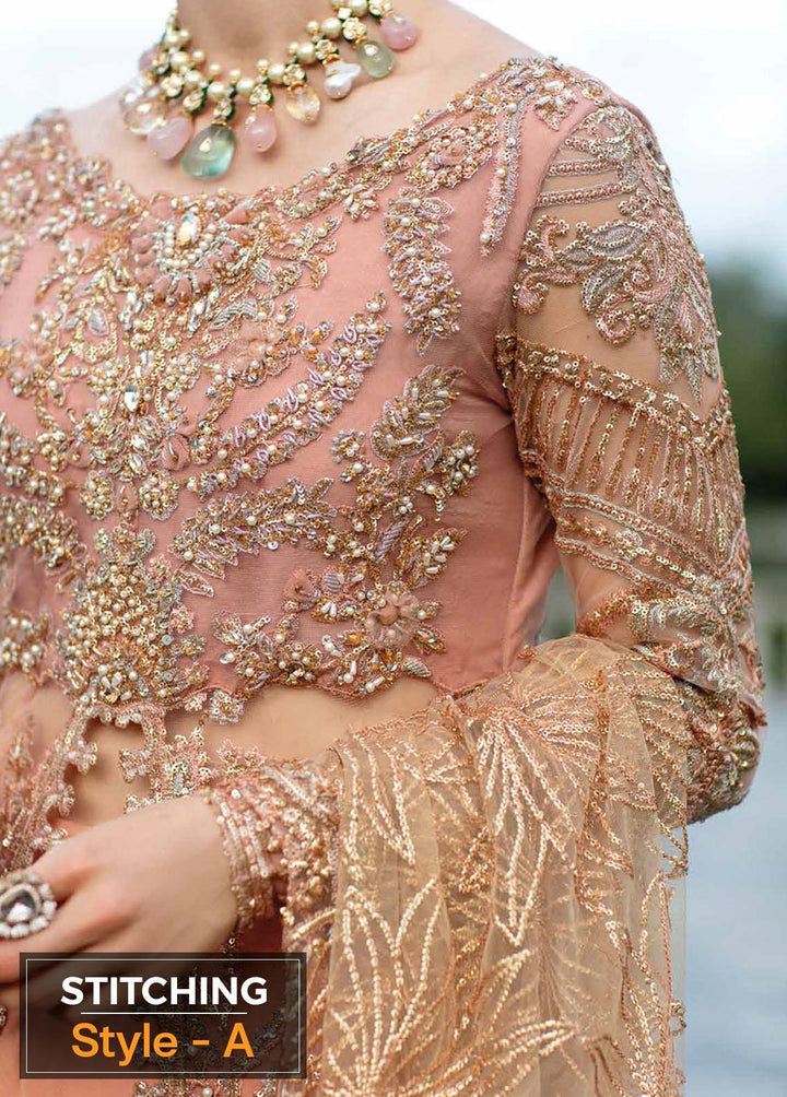 Serendipity by Mushq Embroidered Net Suits Unstitched 4 Piece MQ22S TDL22-05 Nicole - Luxury Wedding Collection