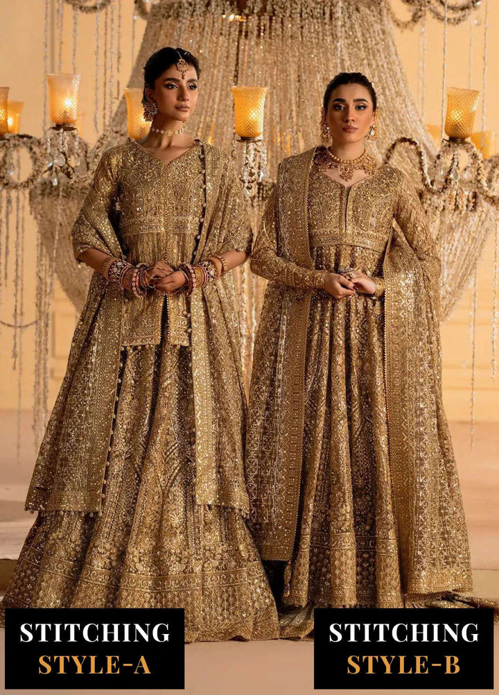 Aik Atelier Embroidered Net Suits Unstitched 3 Piece AIK25EF Vl1 Look-05 - Formals Collection