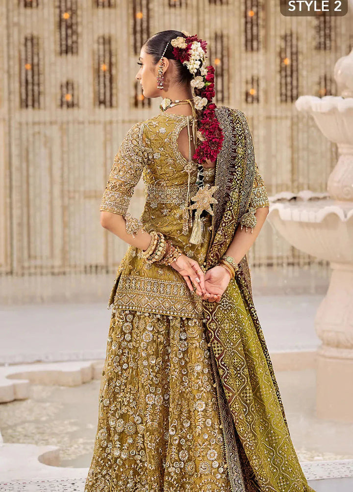 Aik Atelier Embroidered Net Suits Unstitched 3 Piece AIK25EF Vl2 Look 04 - Formals Collection