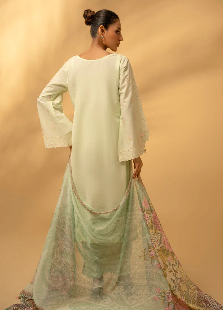 Zouj Chikankari Lawn Suits Unstitched 3 Piece ZJ25CL D-01 Pistachio Essence - Summer Collection