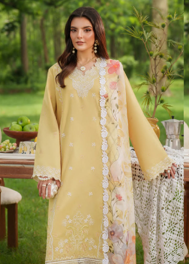 Eden by Asifa Nabeel Embroidered Cambric Suits Unstitched 3 Piece AN25ED D-06 Golden Dust - Winter Collection
