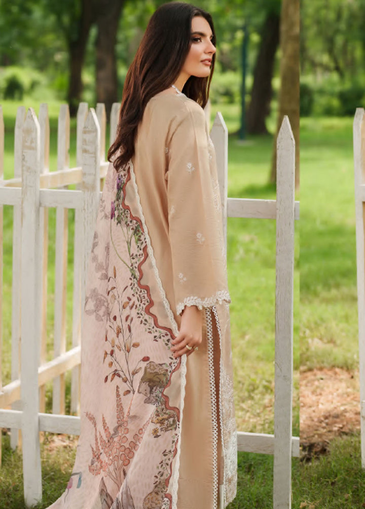 Eden by Asifa Nabeel Embroidered Cambric Suits Unstitched 3 Piece AN25ED D-09 Ivory Haze - Winter Collection