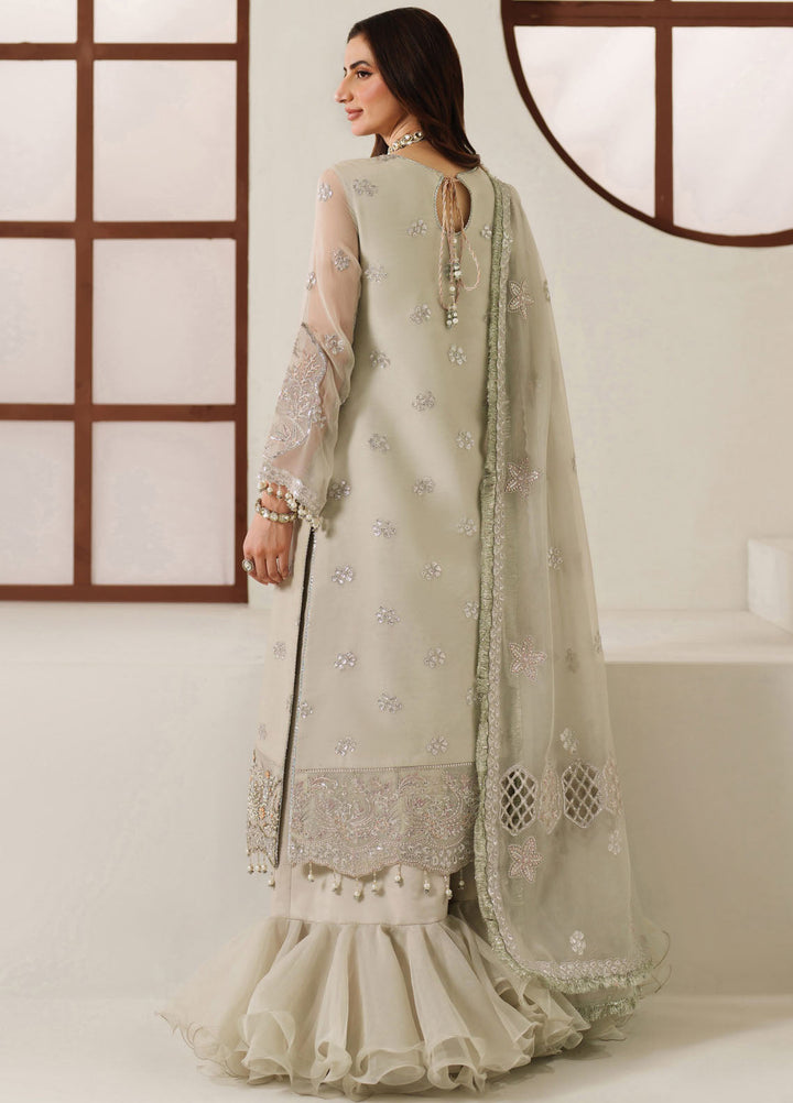 Reena by Alizeh Fashion Embroidered Chiffon Suits Unstitched 3 Piece AFB25RW HM-4048 Nashmia - Wedding Collection