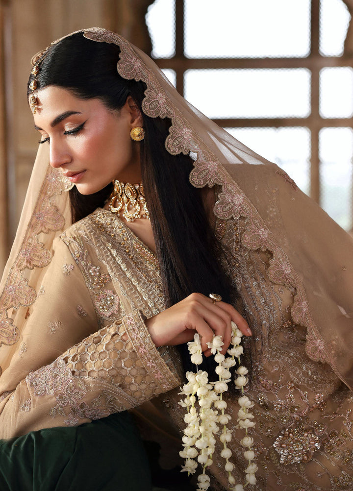 Romansiyyah by Emaan Adeel Embroidered Chiffon Suits Unstitched 3 Piece EA25RLF Shahnoor - Formals Collection