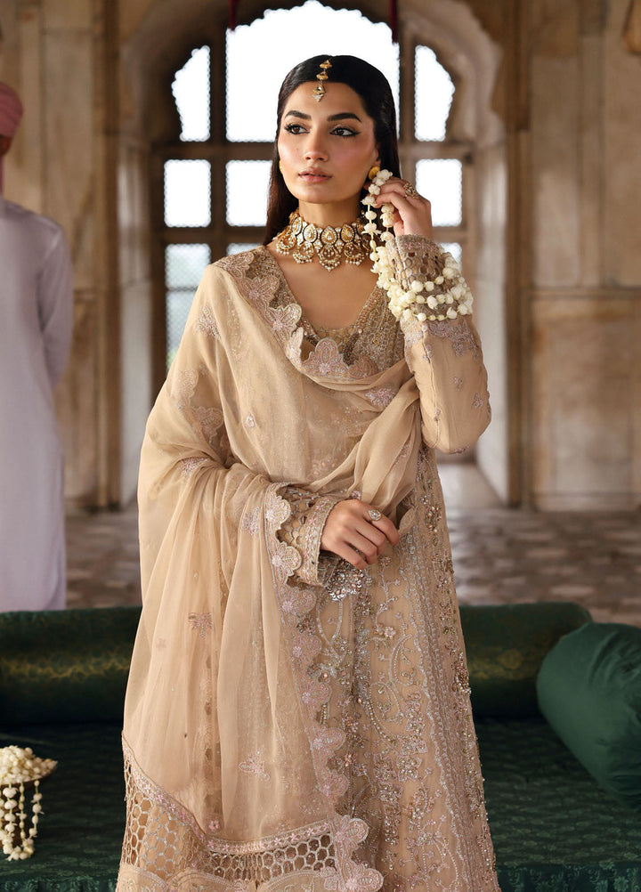 Romansiyyah by Emaan Adeel Embroidered Chiffon Suits Unstitched 3 Piece EA25RLF Shahnoor - Formals Collection