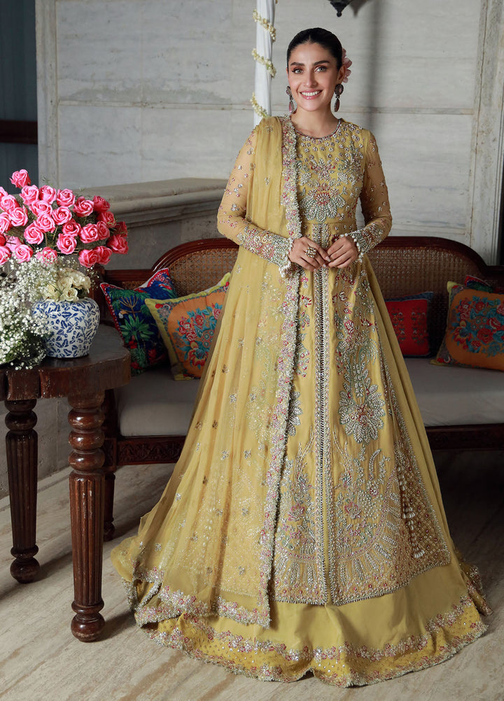 Gulmina Embroidered Chiffon Suits Unstitched 3 Piece GLM25EU D-02 - Formals Collection