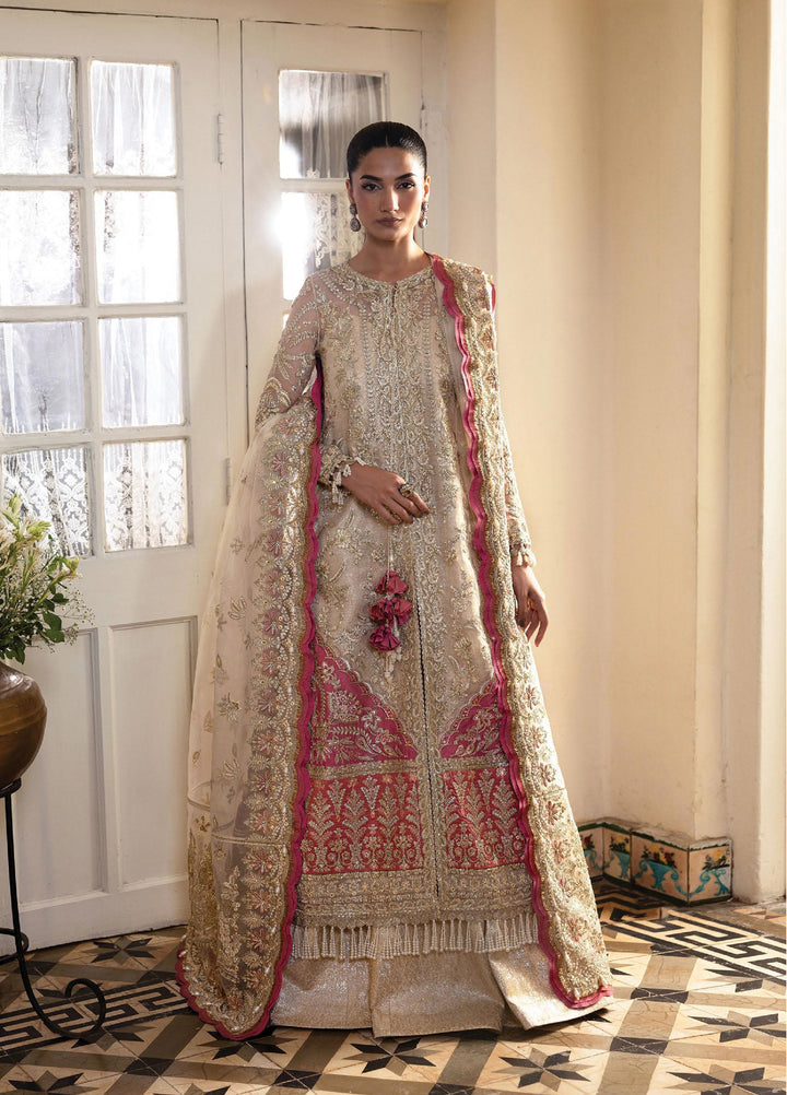 Dastangoi by Afrozeh Unstitched Formal Embroidered Organza 3 Piece Suits  AF25DF D-7 Silkdawn - Formal Collection