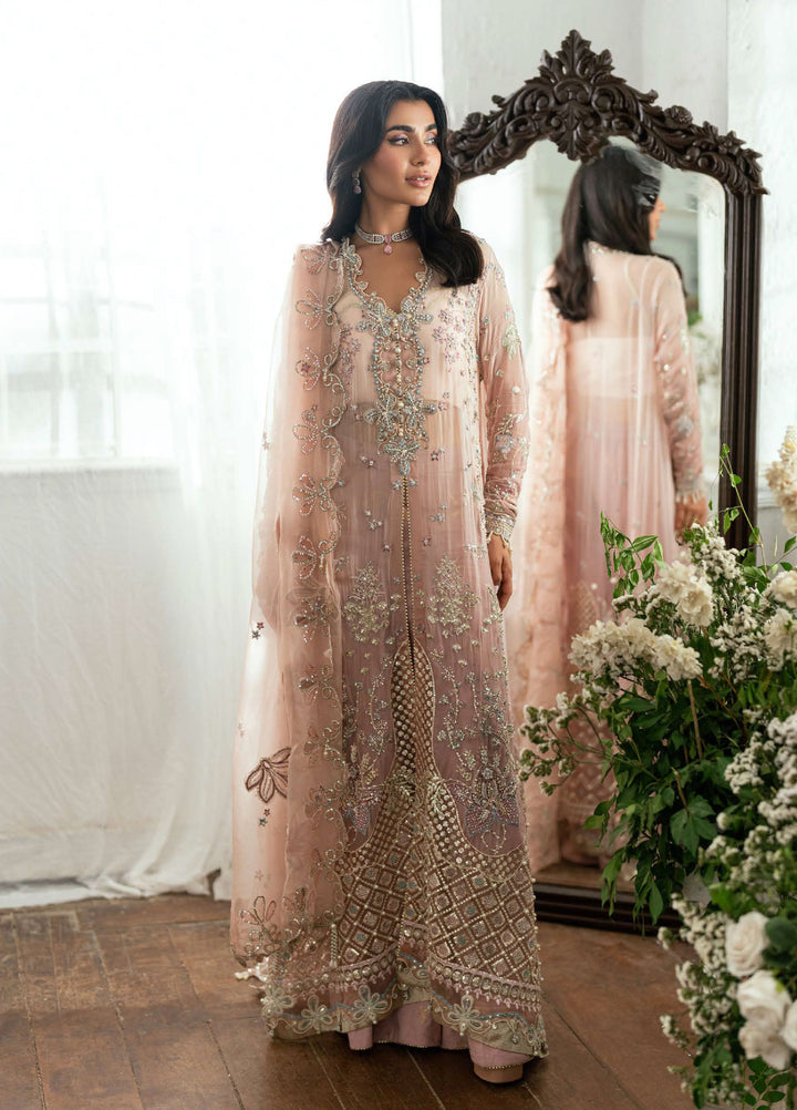 Shaam Shandar By Mushq Luxury Chiffon Unstitched 3 Piece Suits MQ25SC D-2 Shehnai - Festive Collection