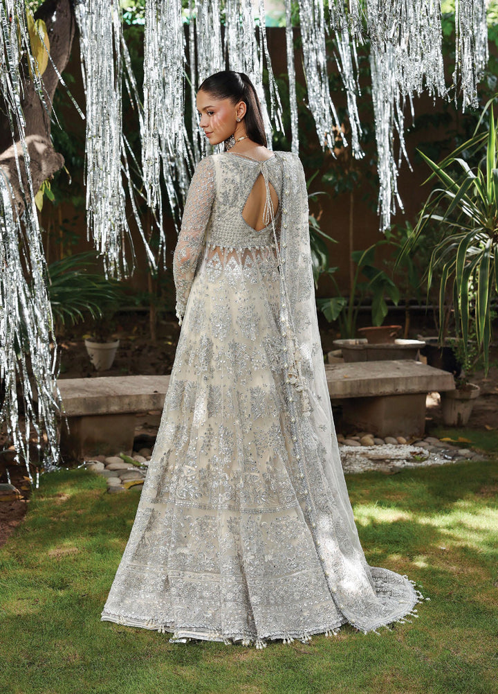 Dastangoi by Afrozeh Unstitched Formal Embroidered Net 3 Piece Suits  AF25DF D-6 Twinkle - Formal Collection