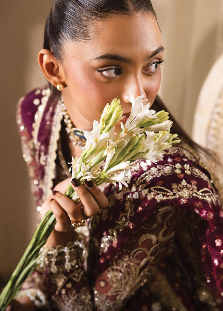 Dastangoi by Afrozeh Unstitched Formal Embroidered Raw Silk 3 Piece Suits  AF25DF D-5 Gildentide - Formal Collection