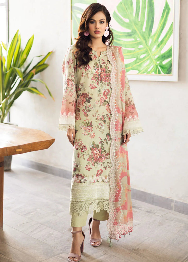 Aafreen by Riaz Arts Embroidered Lawn Suits Unstitched 3 Piece RA25AE AF-164 - Summer Collection