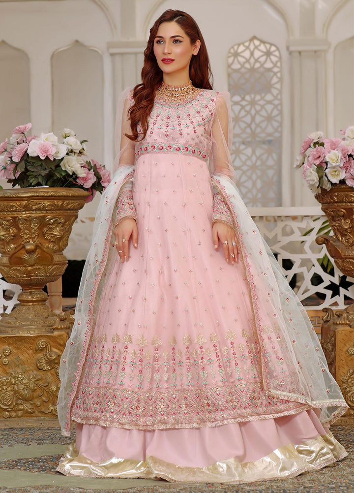 Aaina By Awwal Embroidered Net Suits Unstitched 3 Piece AW23A D-07 Reyna - Luxury Collection