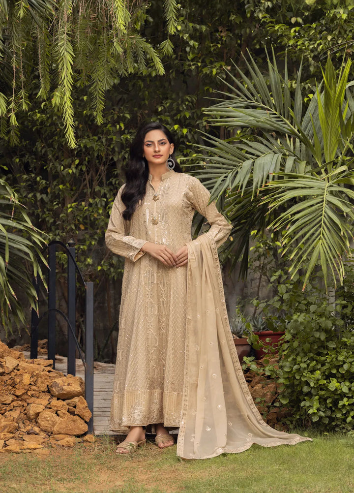 Adams Couture Pret Embroidered Chiffon 3 Piece Suit Mahi Fawn