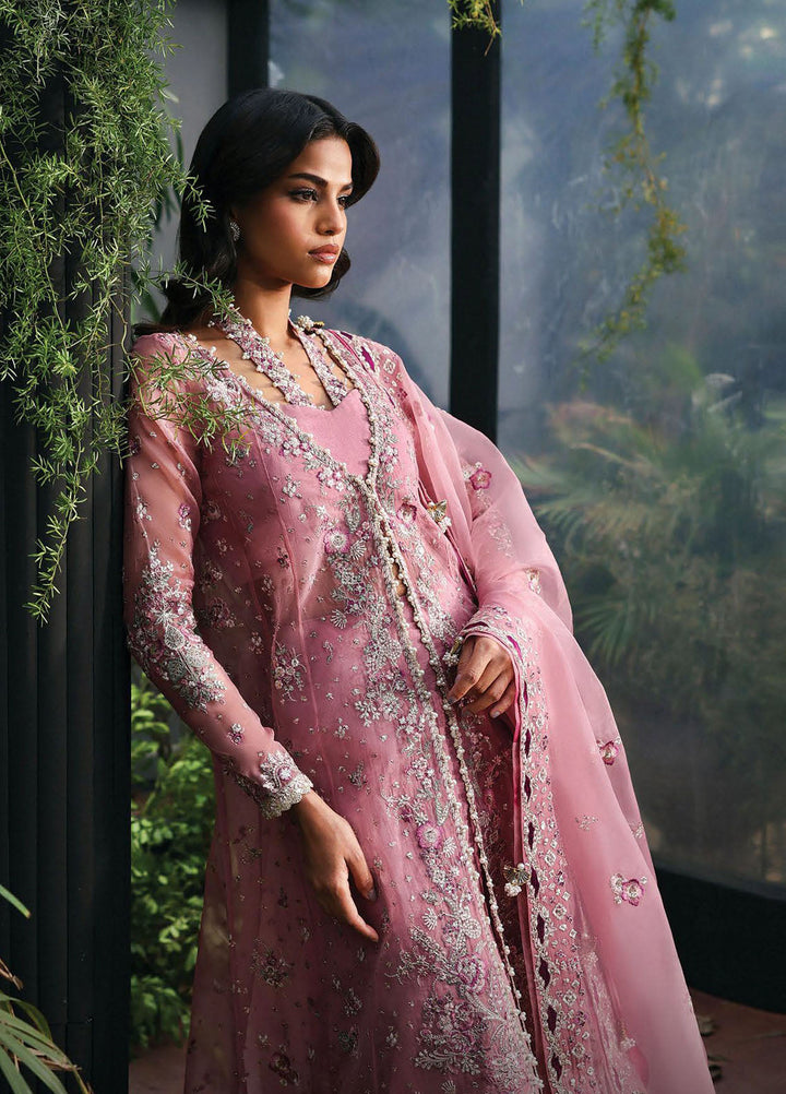 Afrozeh Embroidered Chiffon Suits Unstitched 3 Piece AF25LF D-01 Seraira - Formals Collection