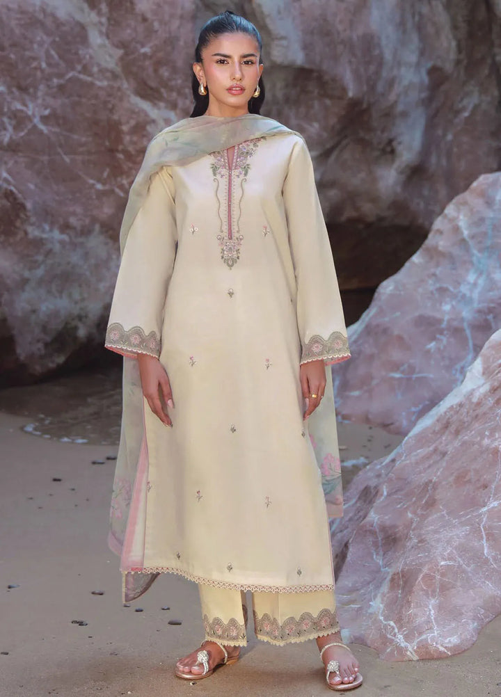 Afsanah by Seran Embroidered Lawn Suit Unstitched 3 Piece SRN25AL D-14 Aylin - Summer Collection