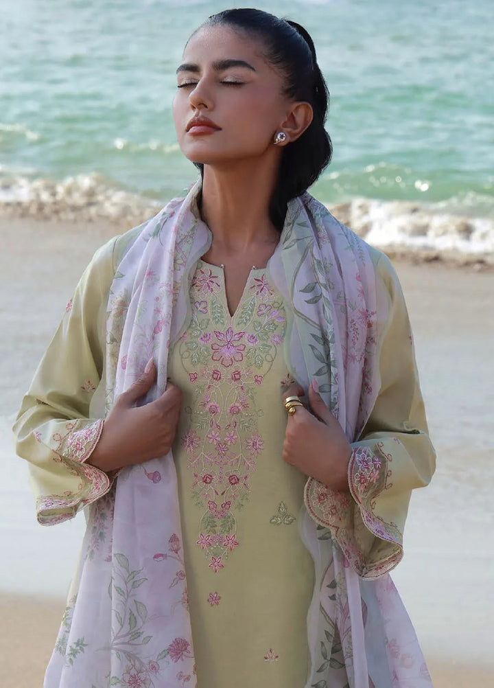 Afsanah by Seran Embroidered Lawn Suit Unstitched 3 Piece SRN25AS D-06 Arya - Summer Collection