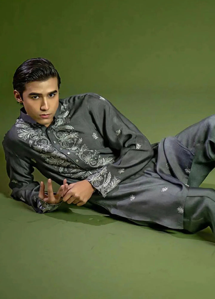 Ahmad Raza Formal Cotton Net Mens 2 Piece Suit AR5148