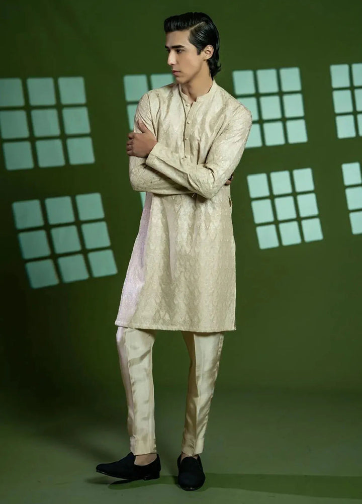 Ahmad Raza Formal Silk Mens 2 Piece Suit AR5153