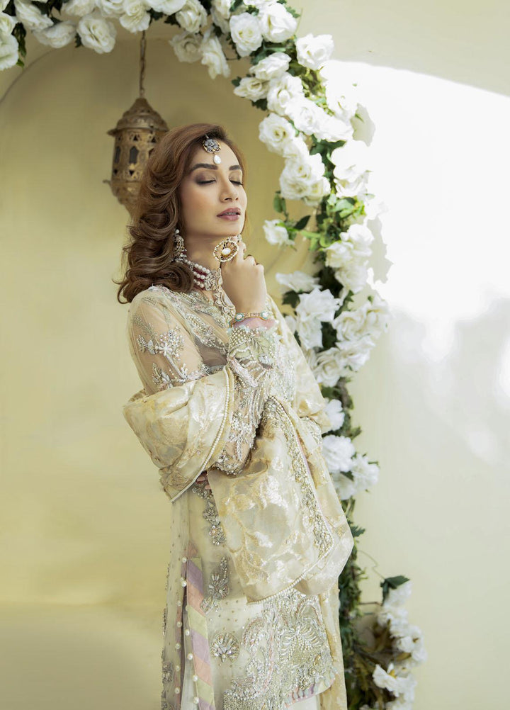 AJR Couture - Abbas Jamil Rajpoot Luxury Pret Bridal Net 2 Piece Dress AJR22BRD ESTELLE