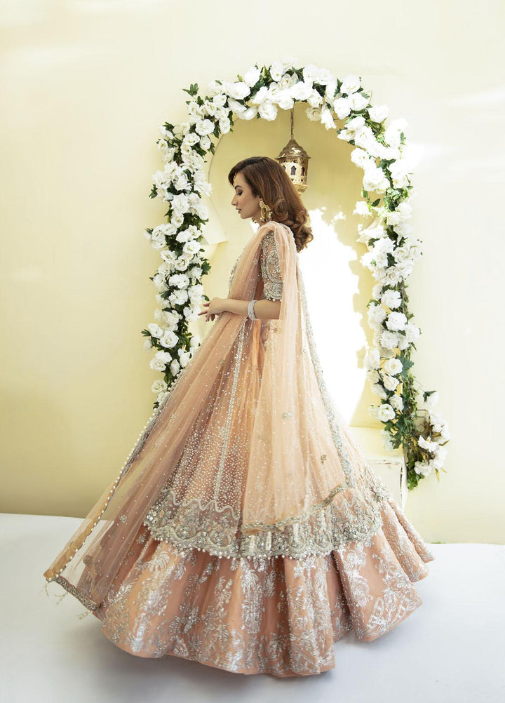 AJR Couture - Abbas Jamil Rajpoot Luxury Pret Bridal Net 3 Piece Dress AJR22BRD SOPHIA