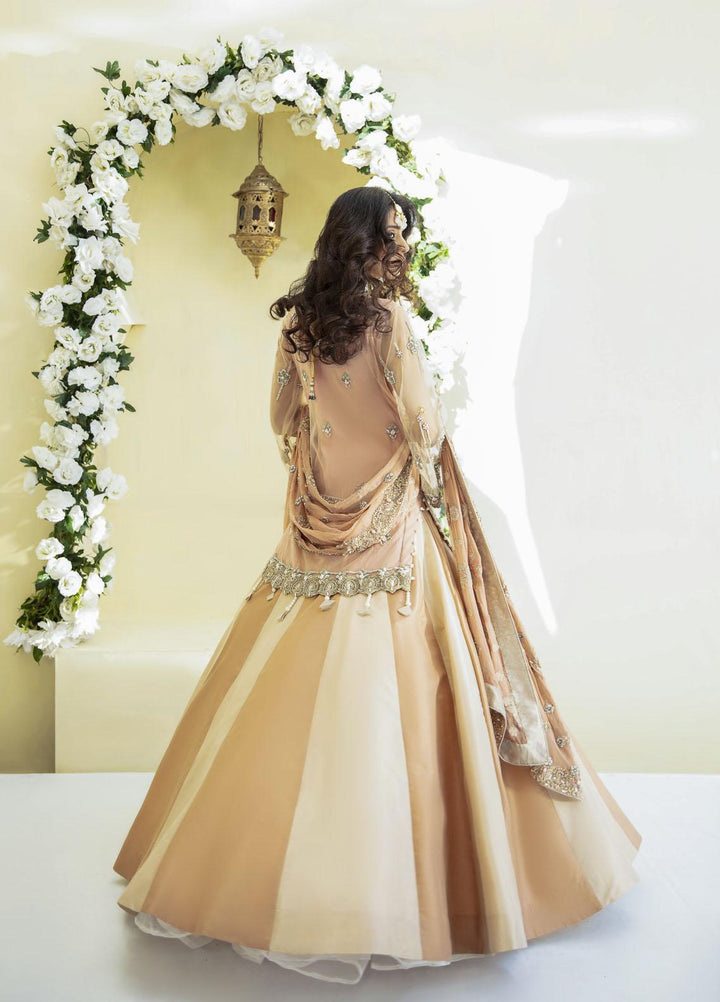 AJR Couture - Abbas Jamil Rajpoot Luxury Pret Bridal Net 2 Piece Dress AJR22BRD GRACE