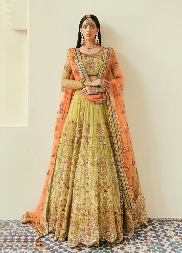 Akbar Aslam Embroidered Net Suits Unstitched 2 Piece AA22F MAKIRA - Luxury Formals Collection