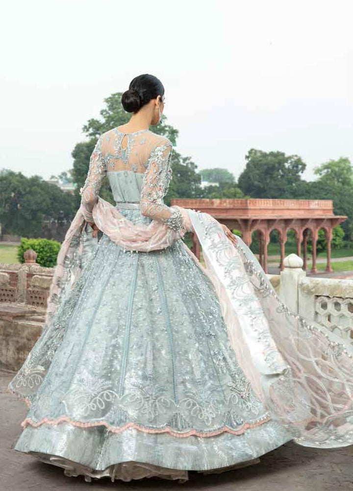 ALIF By AJR Banno Ki Sahelian Embroidered Net Suits Unstitched 3 Piece AJR22BS ALW-22-05 RAQS - Wedding Collection