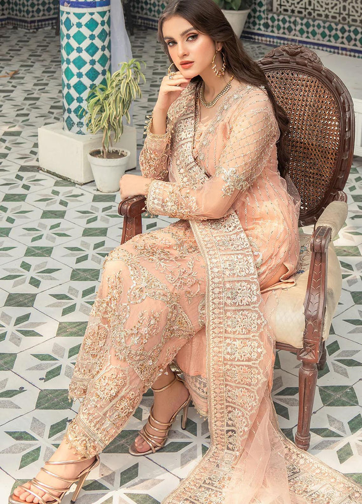Andaz-e-Khas By Resham Ghar Embroidered Organza Suits Unstitched 3 Piece RG22AK NAYAB - Luxury Collection