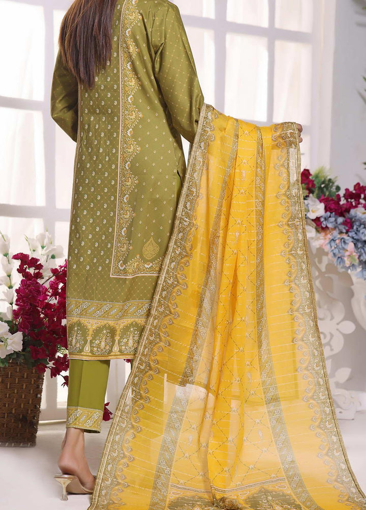 Anmol By VS Textiles Printed Cottel Suits Unstitched 3 Piece VS23AM D-246 - Winter Collection