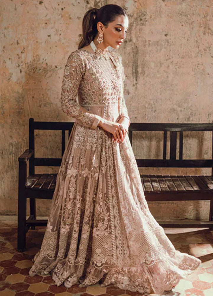 Azure Embroidered Net Suit Unstitched 3 Piece AZ24W Nayaab - Formals Collection