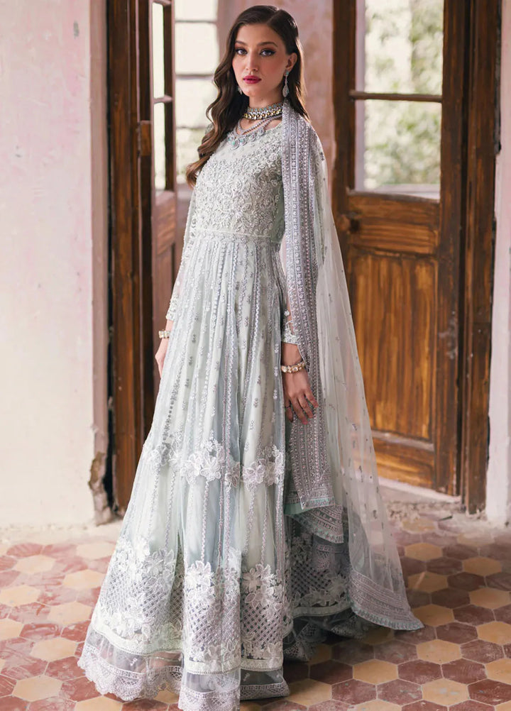 Azure Embroidered Net Suit Unstitched 4 Piece AZ24W Aarzoo - Formals Collection