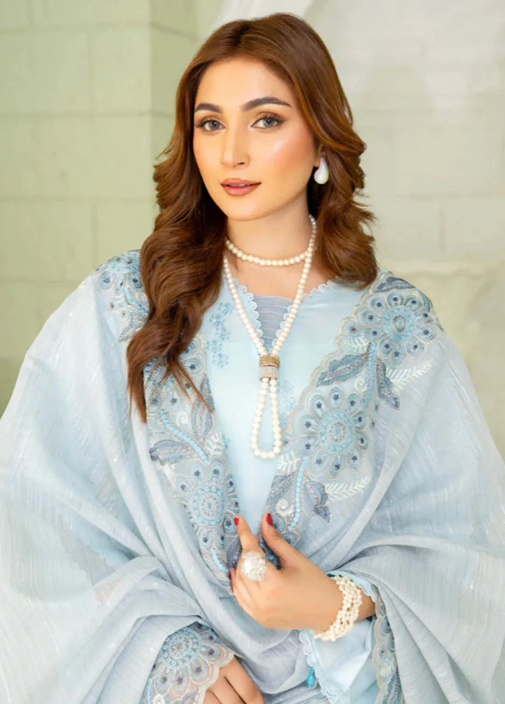 Baad e Baharan by Humdum  Chikankari Lawn Suit Unstitched 3 Piece HD24B D-02 - Summer Collection