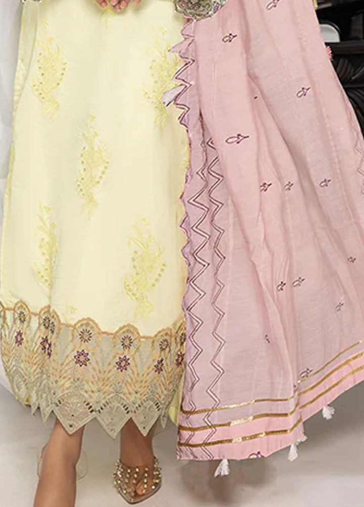 Charlotte by Humdum Chikankari Lawn Suits Unstitched 3 Piece HD24CH D-06 - Summer Collection