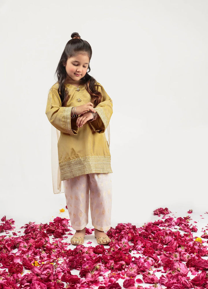 Cheeco Chic Pret Embroidered Cotton silk 3 Piece Suit FJSEID24