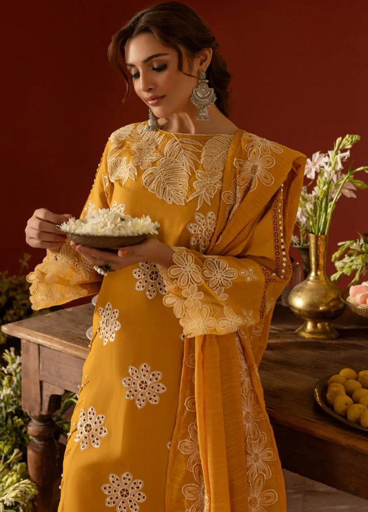 Dastan-e-Noor by Parishay Embroidered Lawn Suit Unstitched 3 Piece PR25DN DSC-09 - Summer Collection