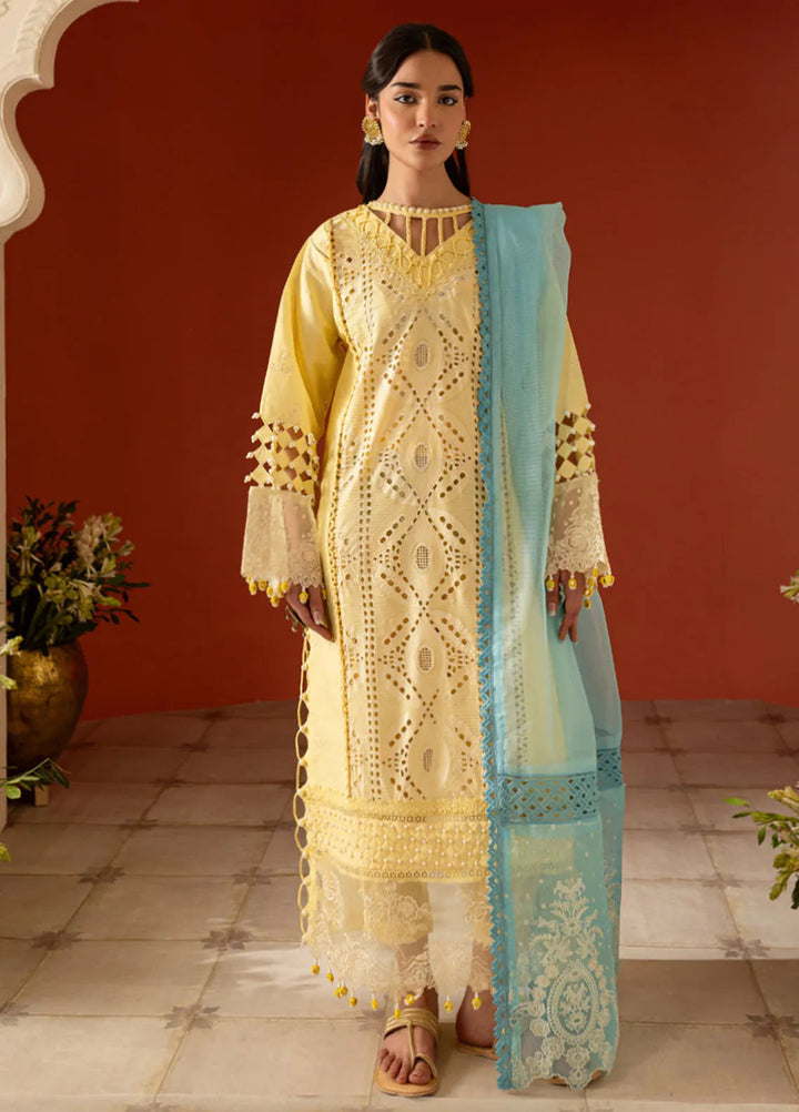 Dastan-e-Noor by Parishay Embroidered Lawn Suit Unstitched 3 Piece PR25DN DSC-11 - Summer Collection