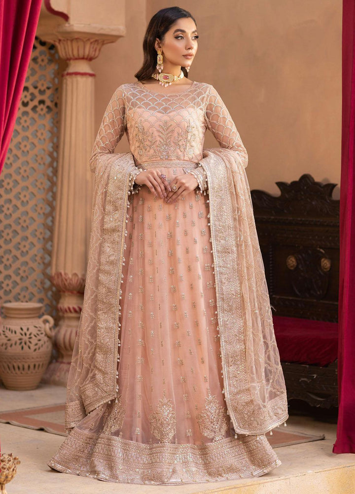 Dastgah By Neeshay Embroidered Net Suits Unstitched 3 Piece NSH24DG Nava - Festive Collection