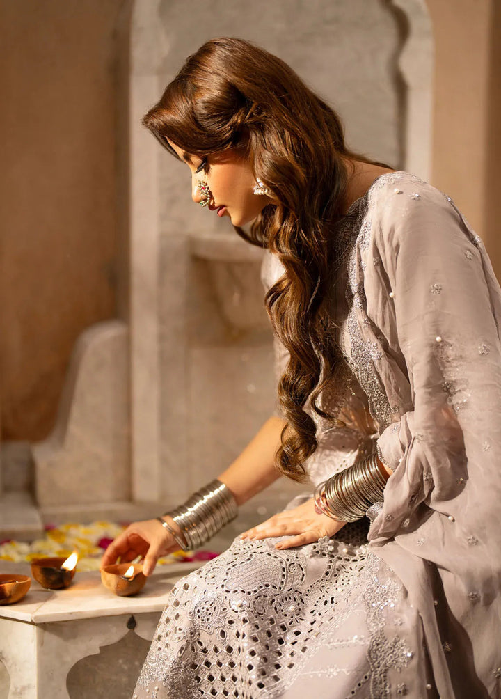 Dilbaro By Bin Ilyas Embroidered Lawn Suits Unstitched 3 Piece BI24D 401B - Festive Collection