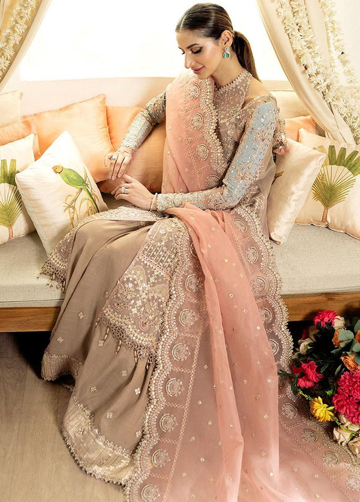 Dilnaaz By Qalamkar Embroidered Organza Suits Unstitched 3 Piece QLM23DZ DN-8 Inaya - Wedding Collection