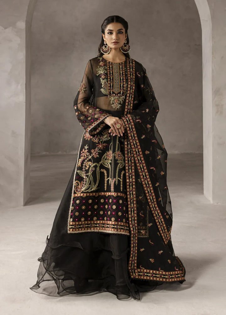 Eblouir by Imran Ramzan Embroidered Organza Suits Unstitched 3 Piece IR25EB Fleurs de Minuit - Festive Collection