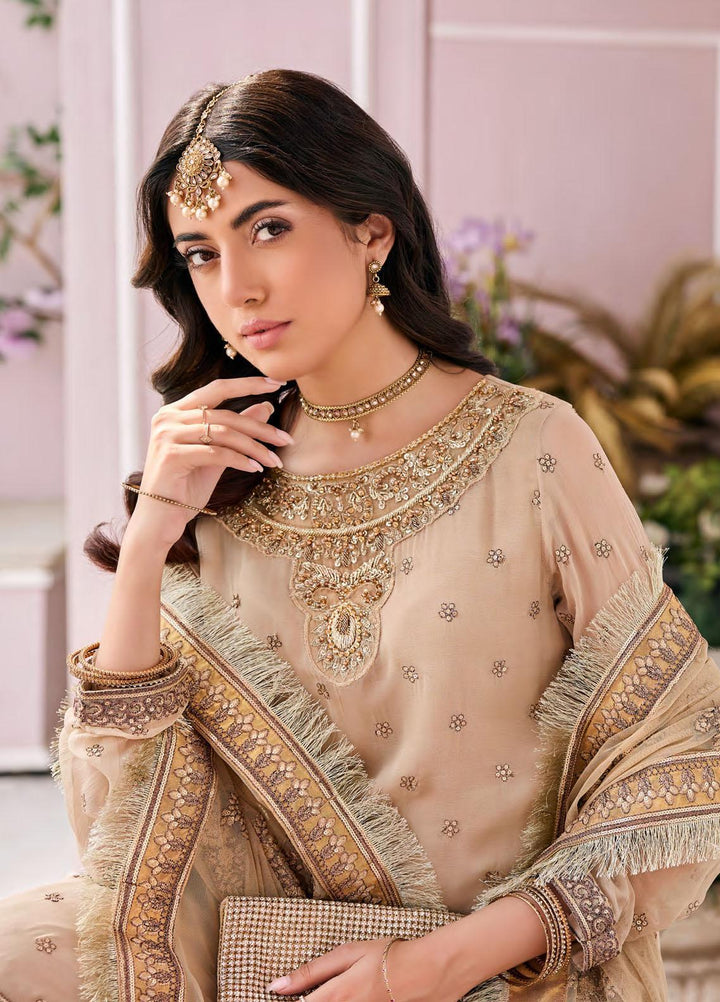 Emaan Adeel Embroidered Chiffon Suits Unstitched 3 Piece EA23FE FT-02 - Luxury Festive Collection
