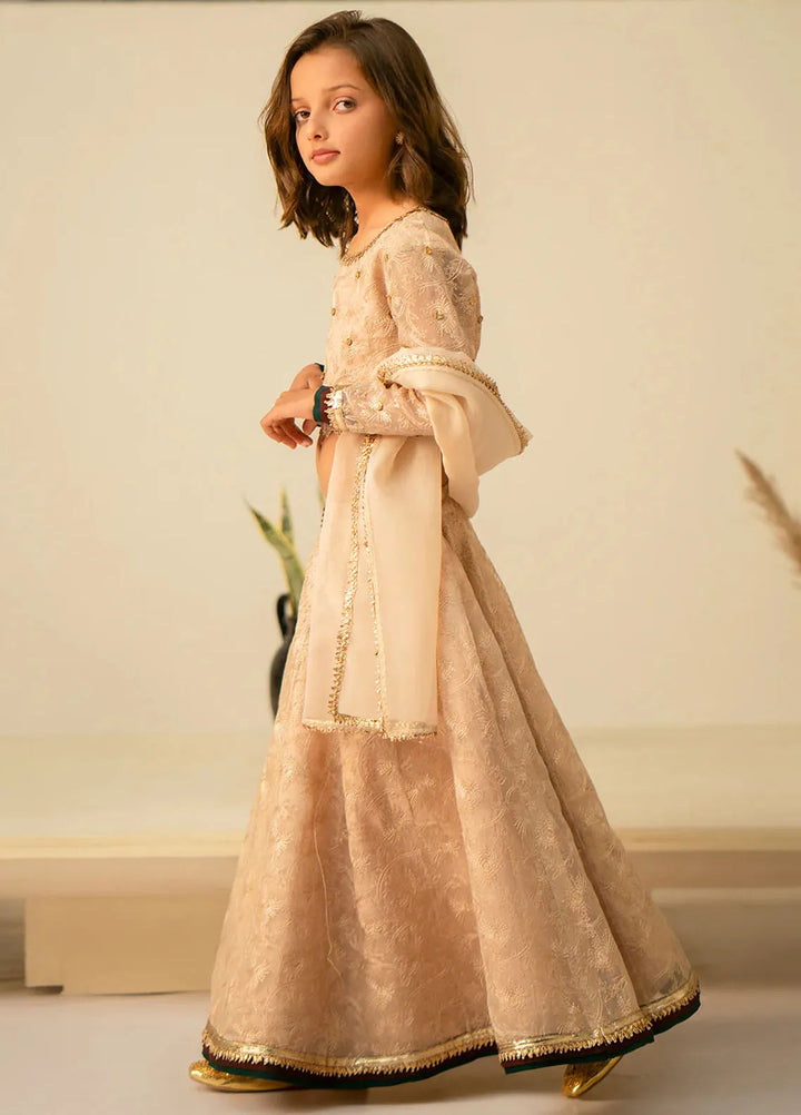 Fozia Khalid Pret Embroidered Organza 3 Piece Suit Dilara