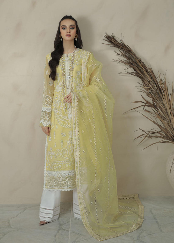 Gulaal Pret Embroidered Organza 3 Piece Suit GL22EP Nima